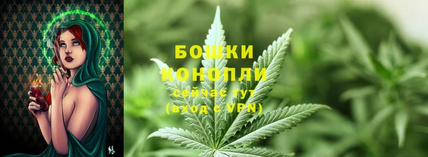 PSILOCYBIN Абдулино