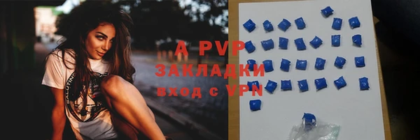 мяу мяу мука Абаза