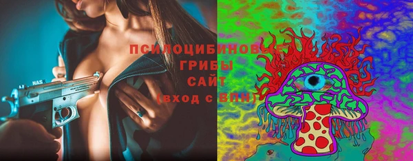 PSILOCYBIN Абдулино