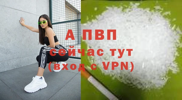 мяу мяу мука Абаза